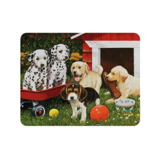 Obrázek z Magnet 3D 7x9cm - štěňata na dvorku (25) 